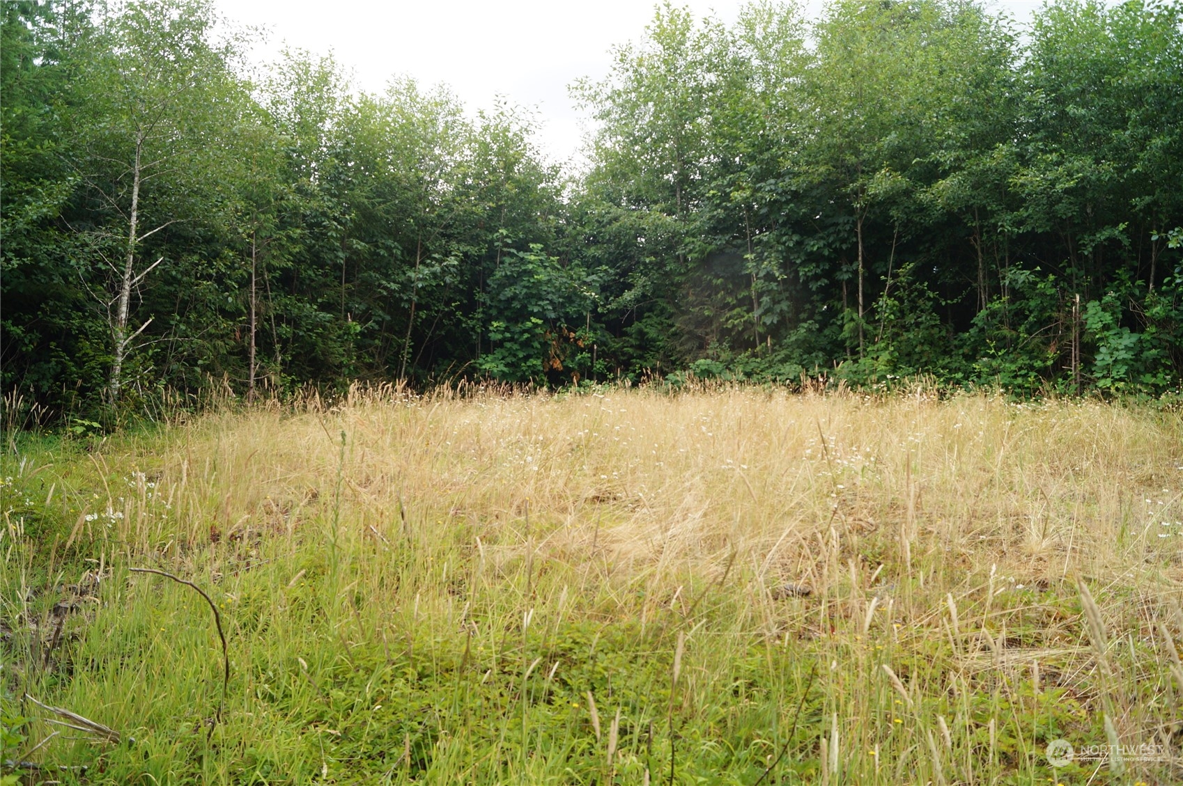 0 Off Of Wynooche Wishkah Road Property Photo