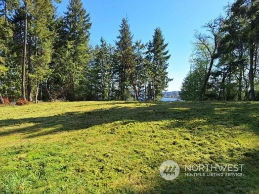 0 Morris Boulevard Property Photo 8