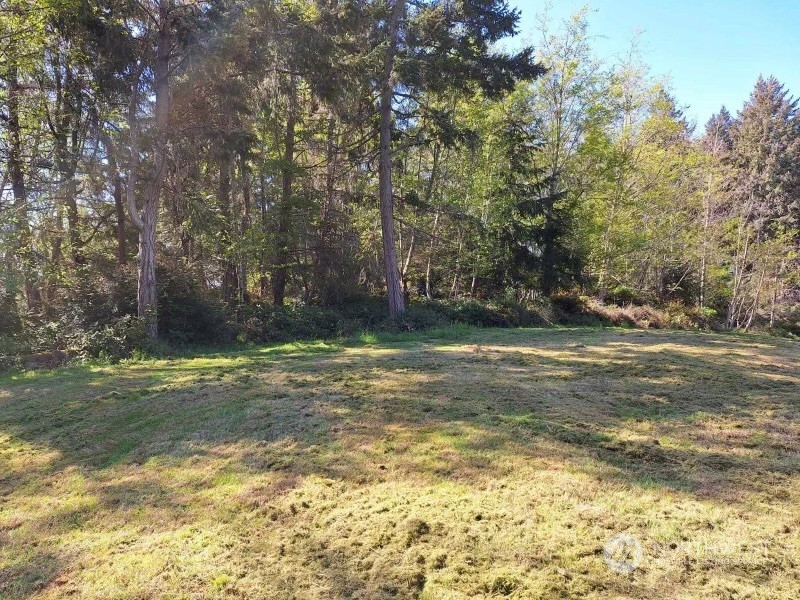 0 Morris Boulevard Property Photo 13