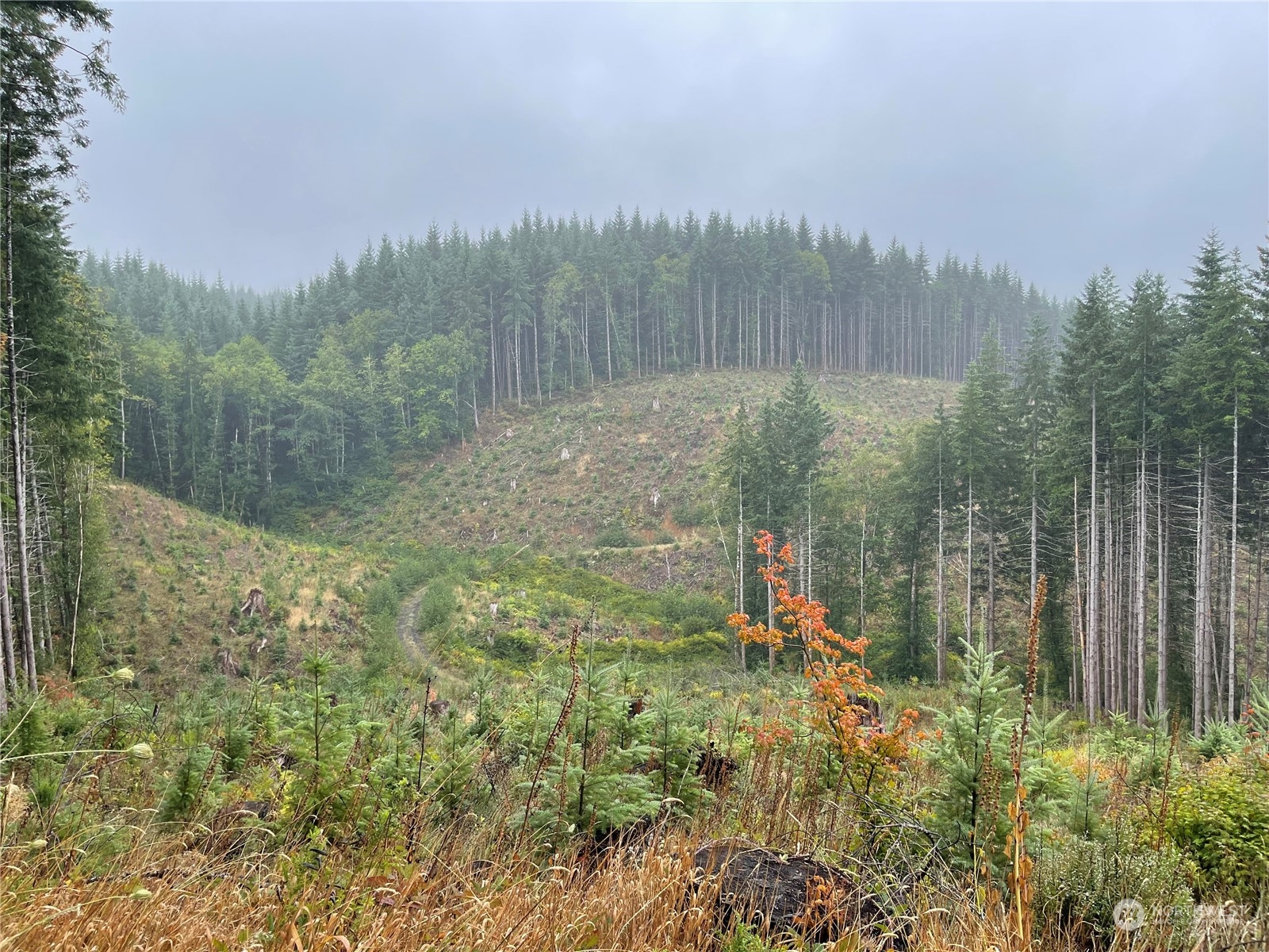 58 Xx State Route 6 Property Photo