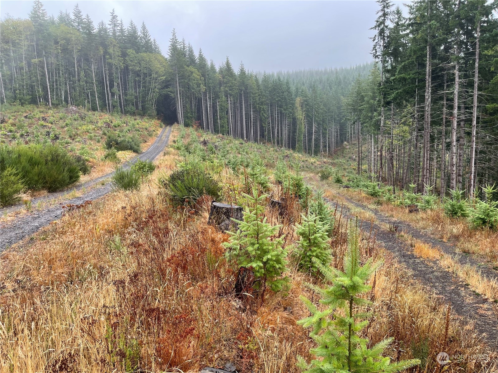 58 Xx State Route 6 Property Photo 6
