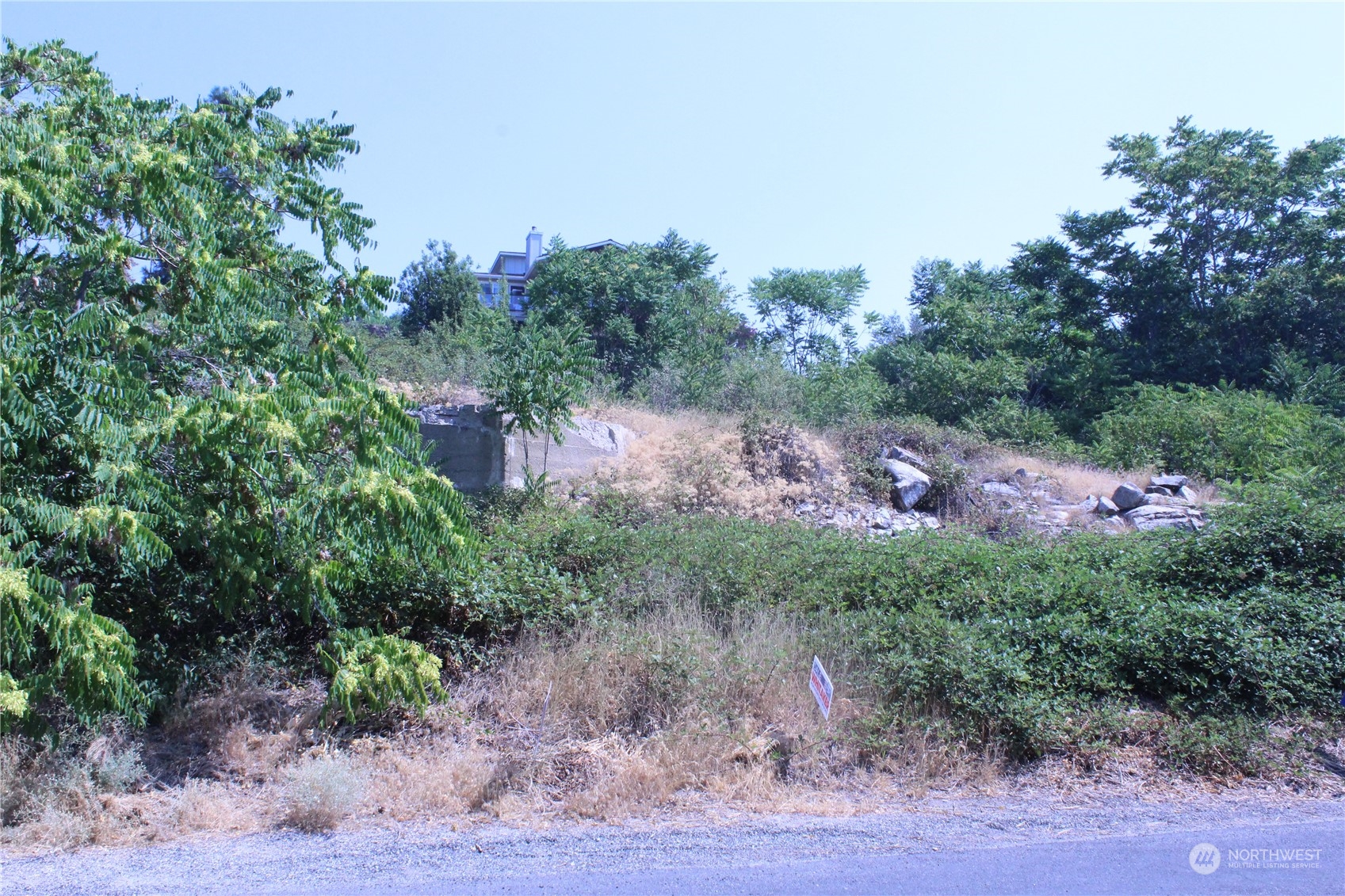 0 Olive Avenue Property Photo 4