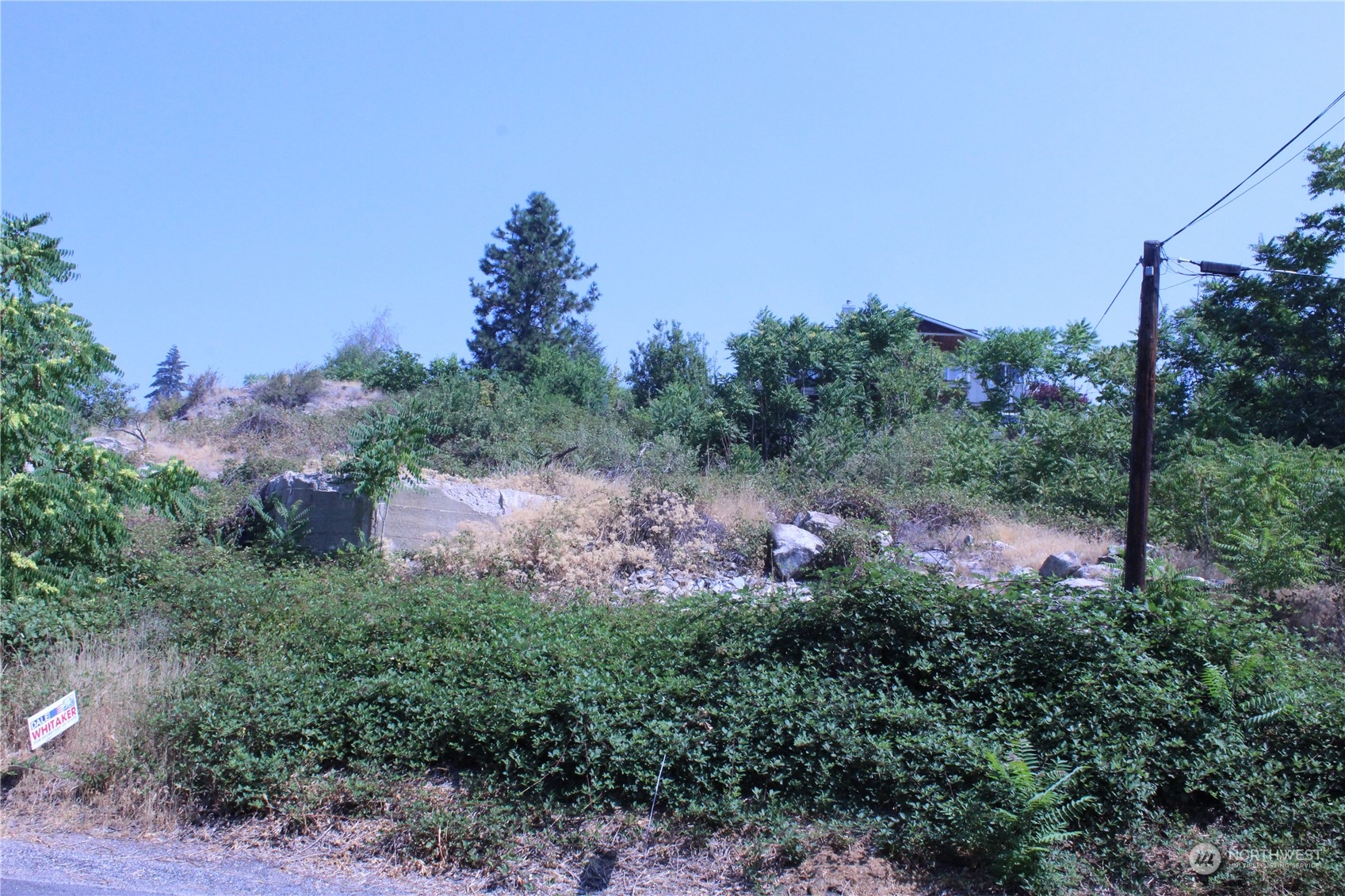 0 Olive Avenue Property Photo 8