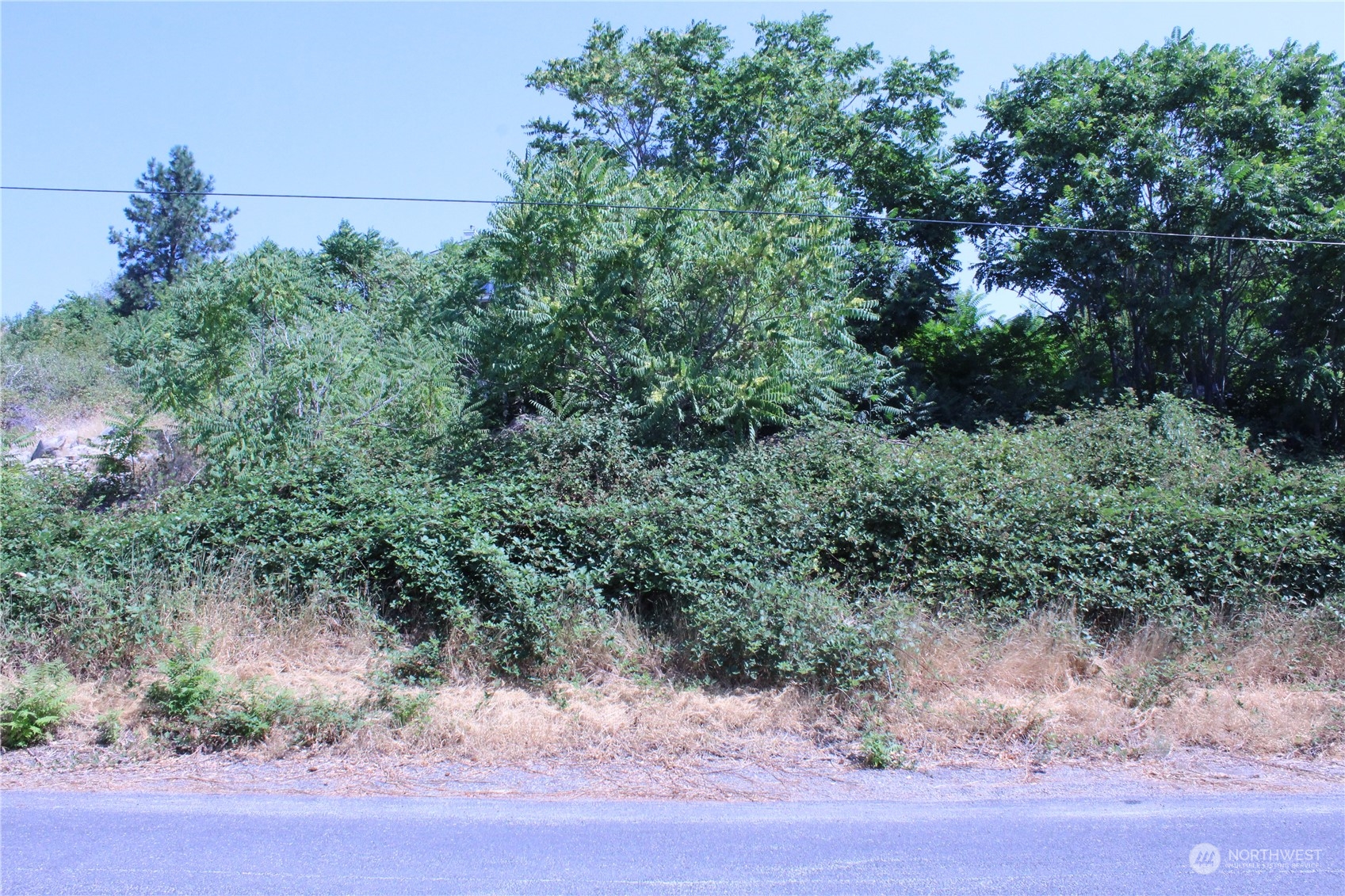 0 Olive Avenue Property Photo 14