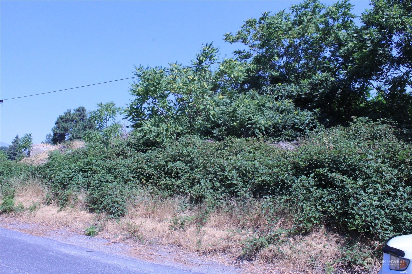 0 Olive Avenue Property Photo 15