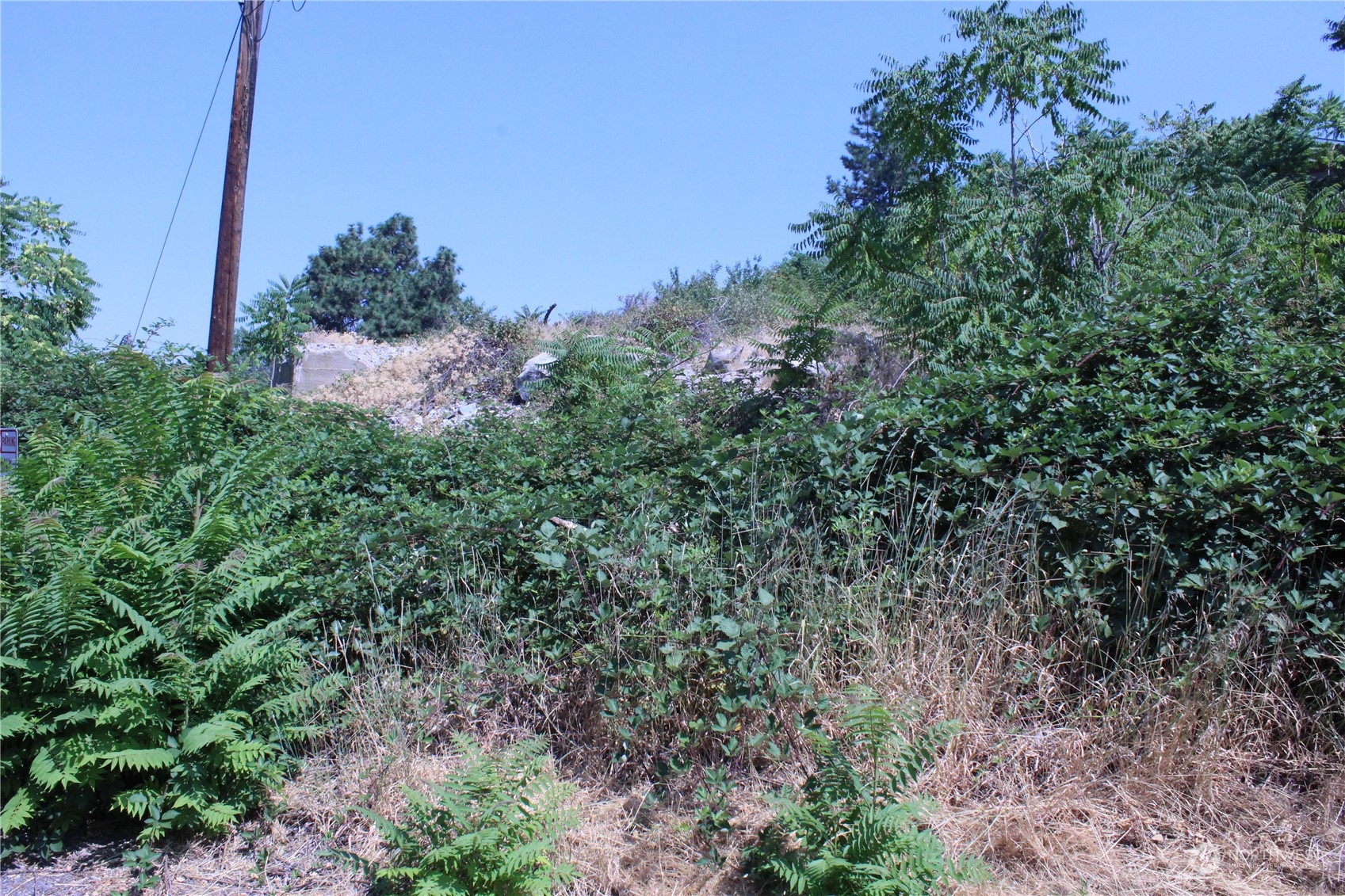 0 Olive Avenue Property Photo 16