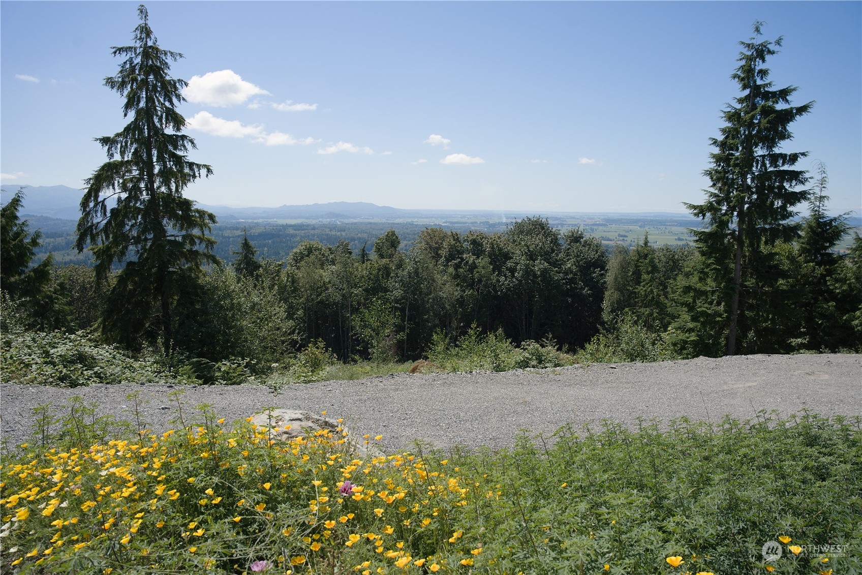 3291 Blanchard Knob Trail Property Photo 18