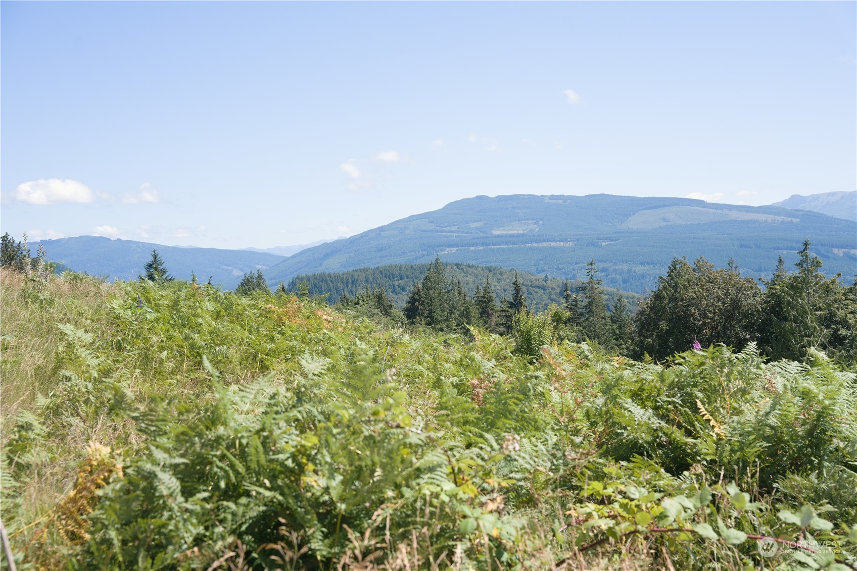 3291 Blanchard Knob Trail Property Photo 19