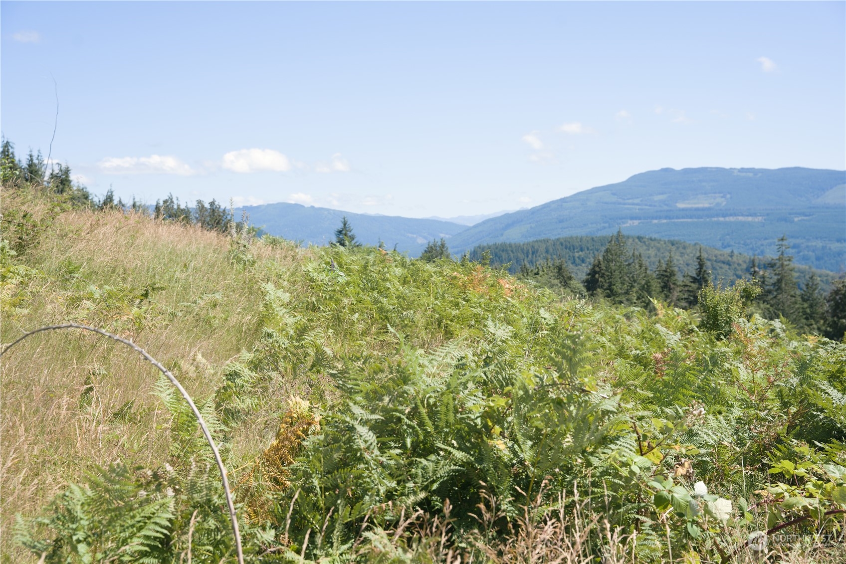 3291 Blanchard Knob Trail Property Photo 20