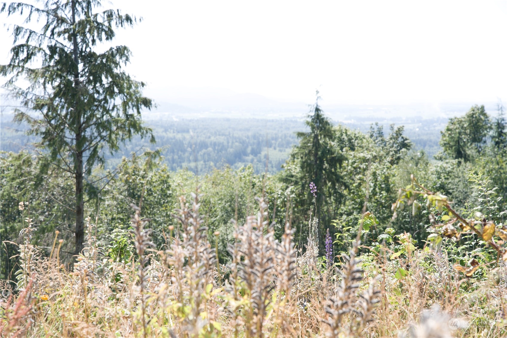 3291 Blanchard Knob Trail Property Photo 23