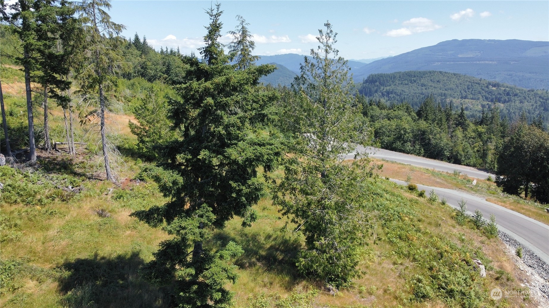 3291 Blanchard Knob Trail Property Photo 28