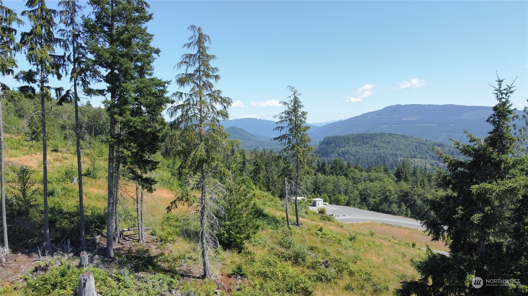 3291 Blanchard Knob Trail Property Photo 36
