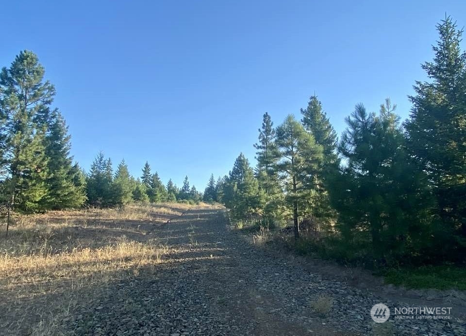 7 Black Butte Property Photo