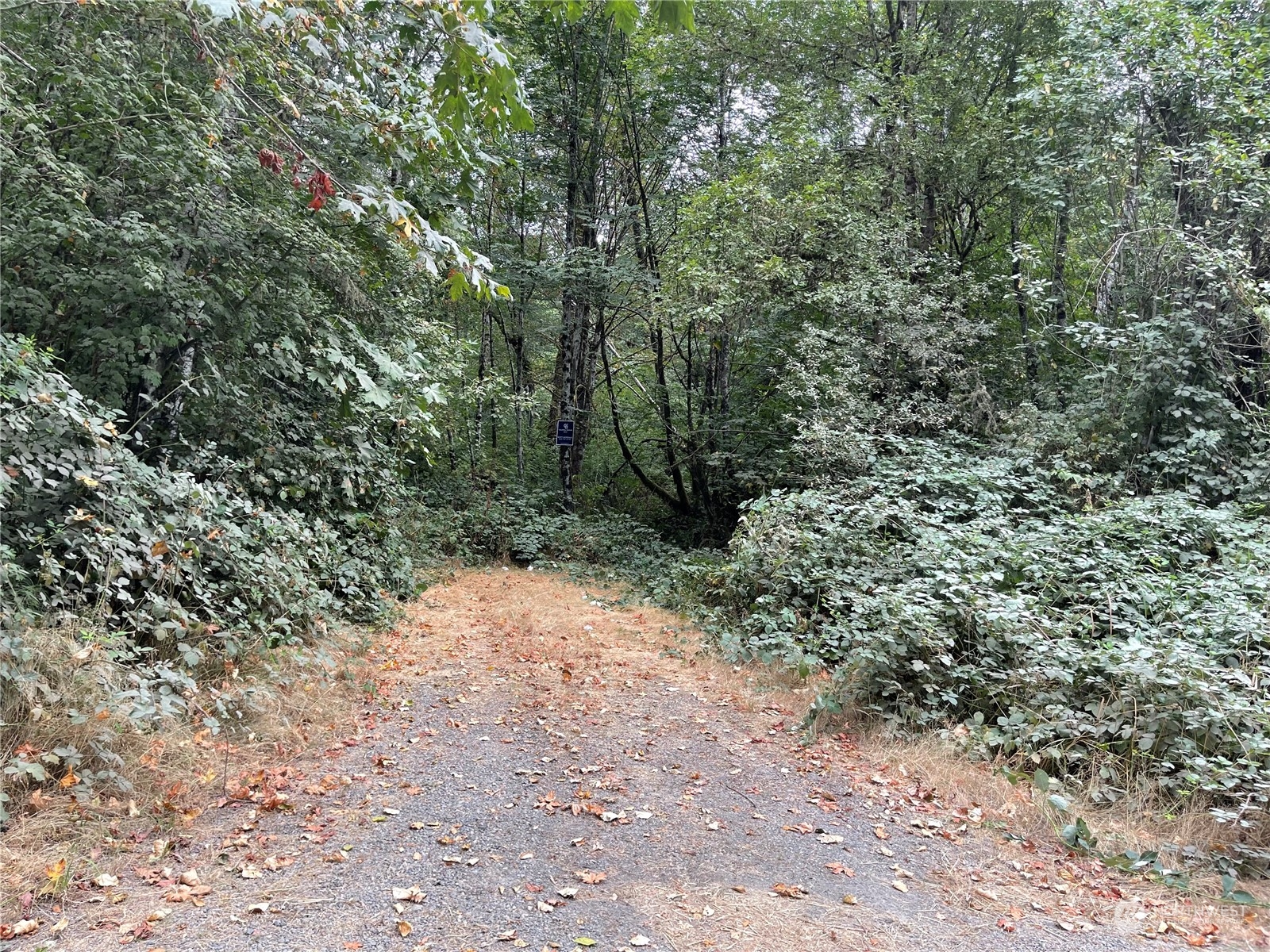 217 Xx Thompson Creek Road Property Photo 4