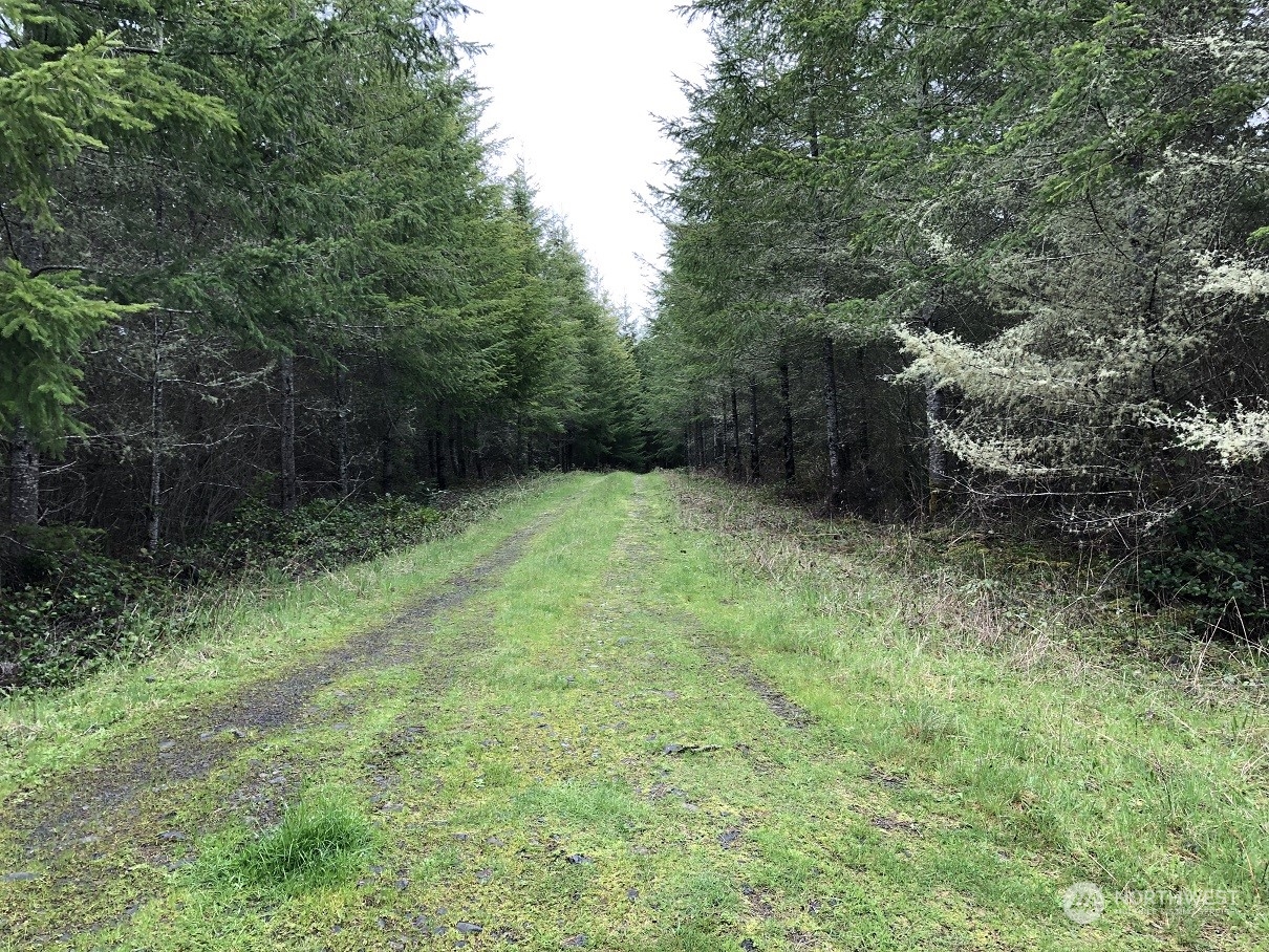 217 Xx Thompson Creek Road Property Photo 5