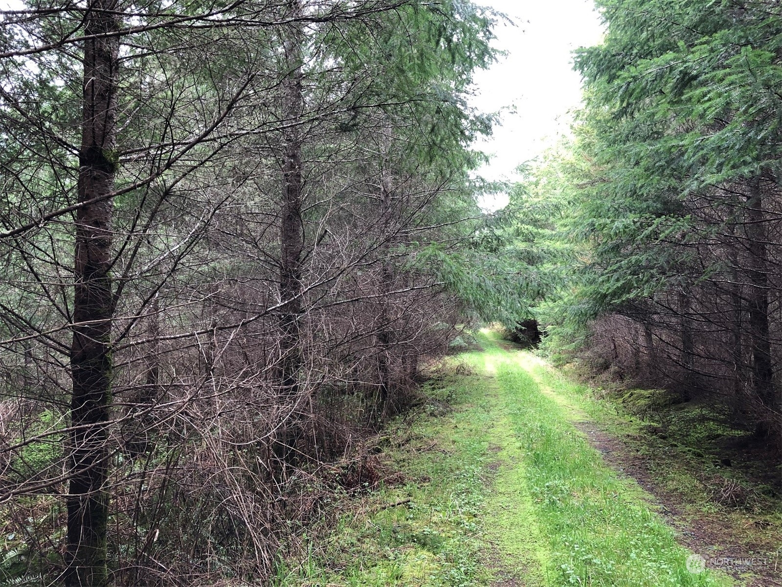 217 Xx Thompson Creek Road Property Photo 8