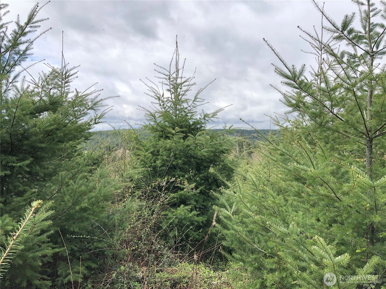 217 Xx Thompson Creek Road Property Photo 12