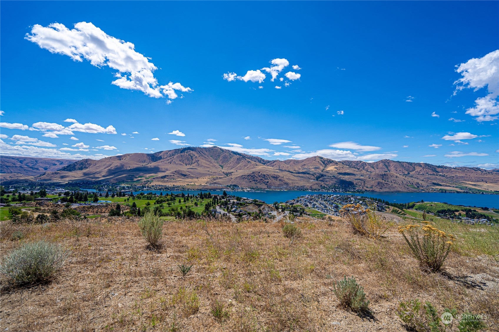 929 Long Drive Property Photo 2
