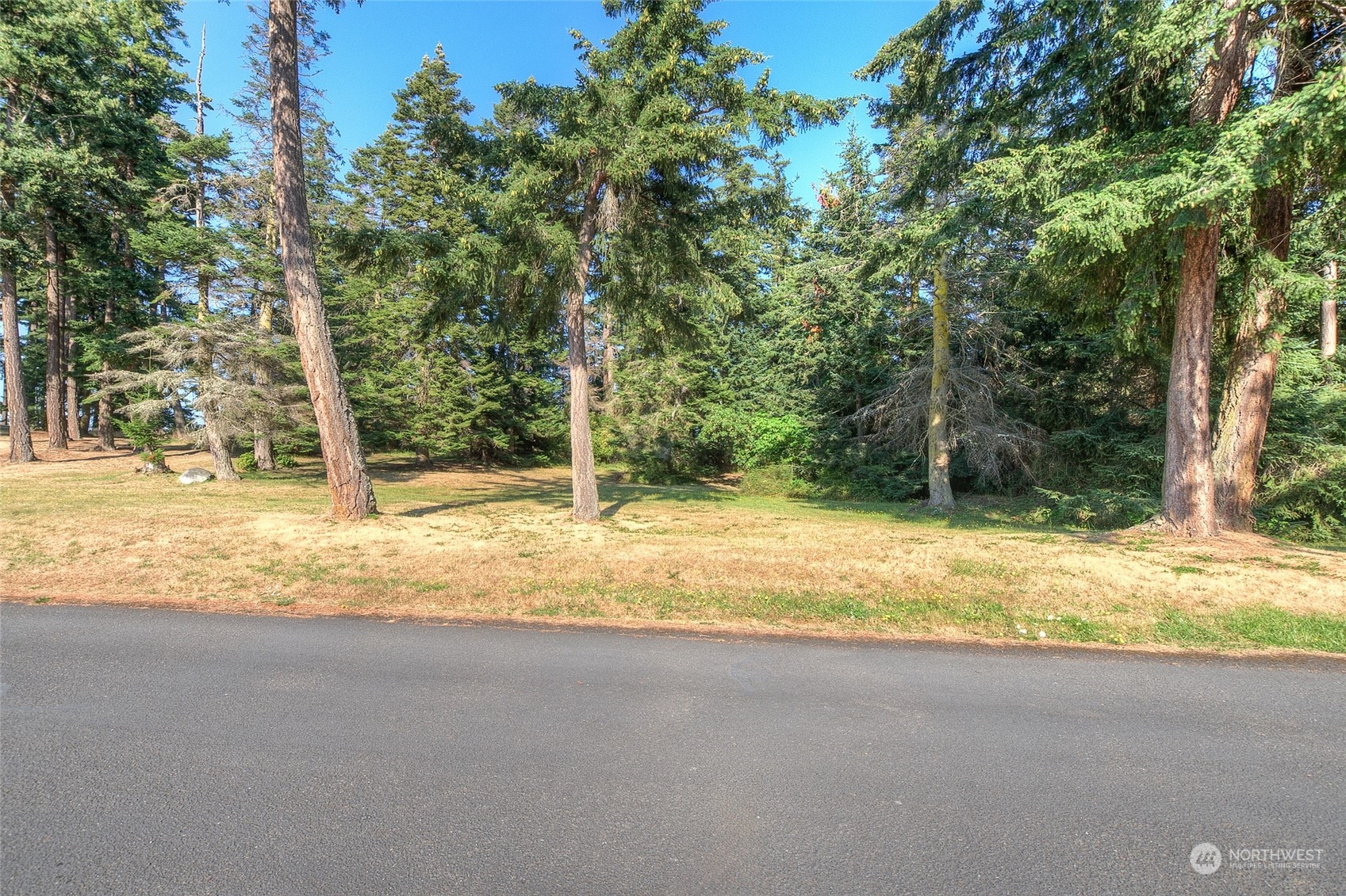 9 Fossil Bay Drive Property Photo 10