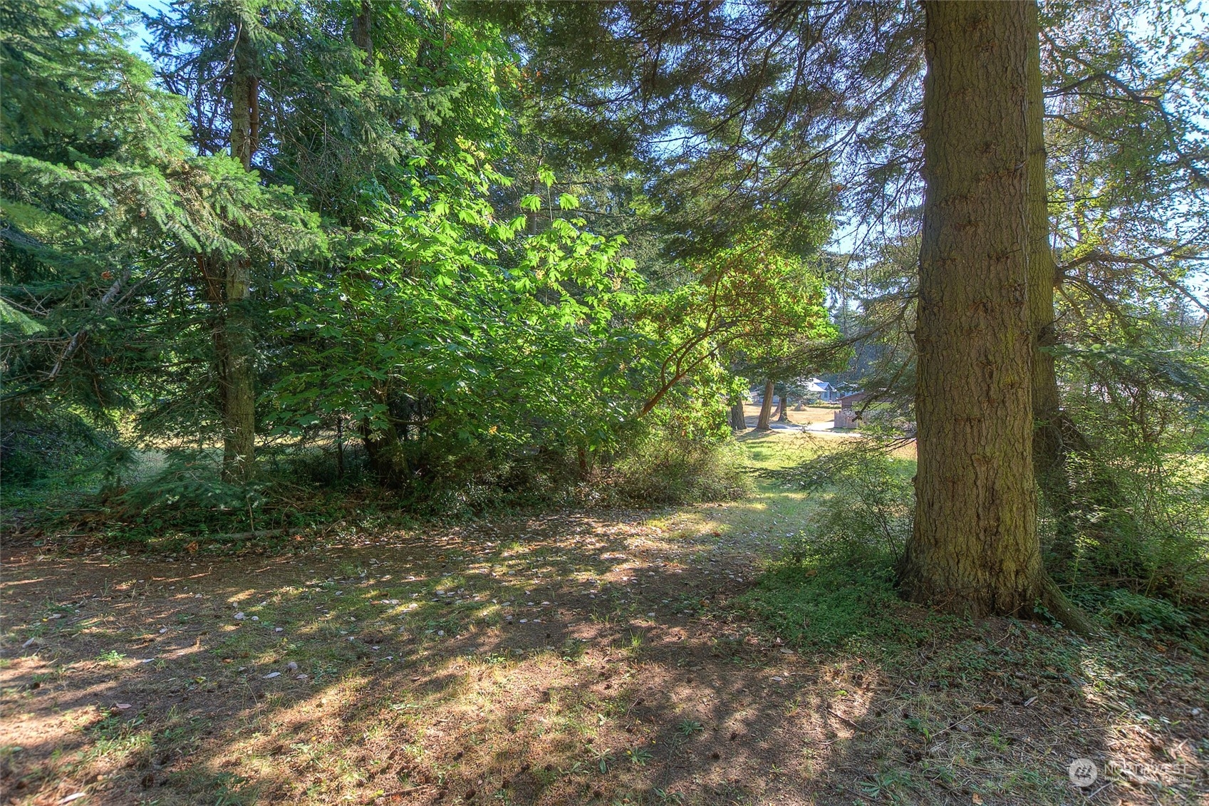 9 Fossil Bay Drive Property Photo 17