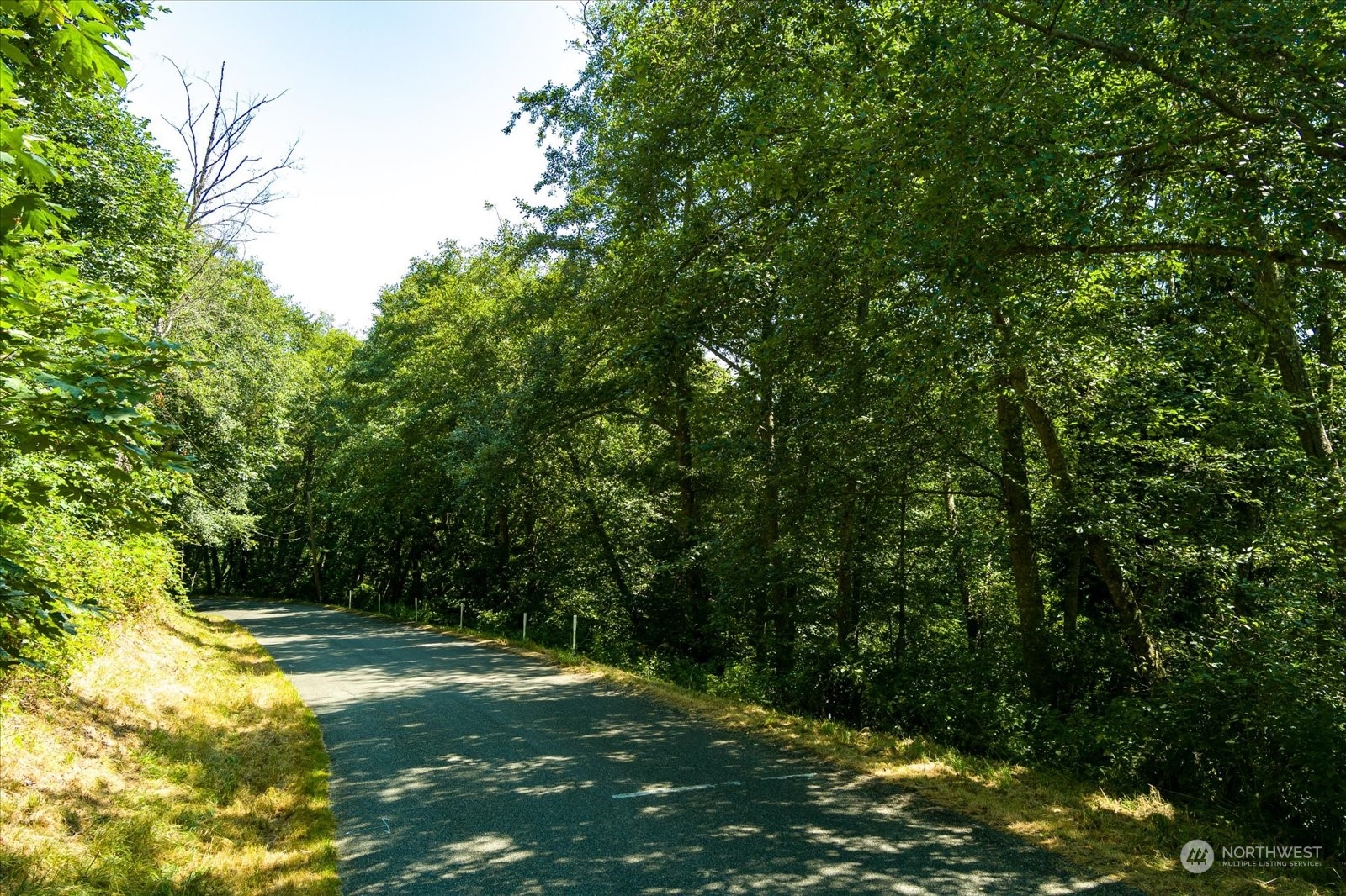 0 Lot 62 Fidalgo Drive Property Photo 2