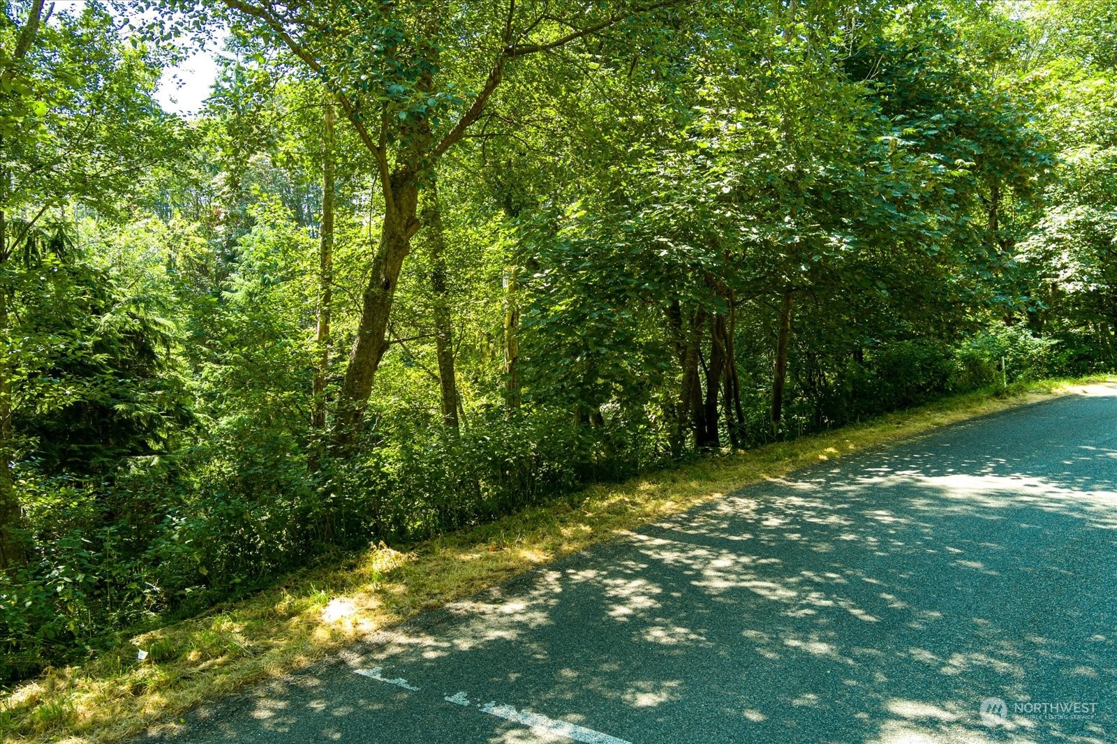 0 Lot 62 Fidalgo Drive Property Photo 3
