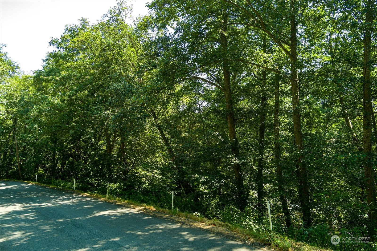 0 Lot 62 Fidalgo Drive Property Photo 4