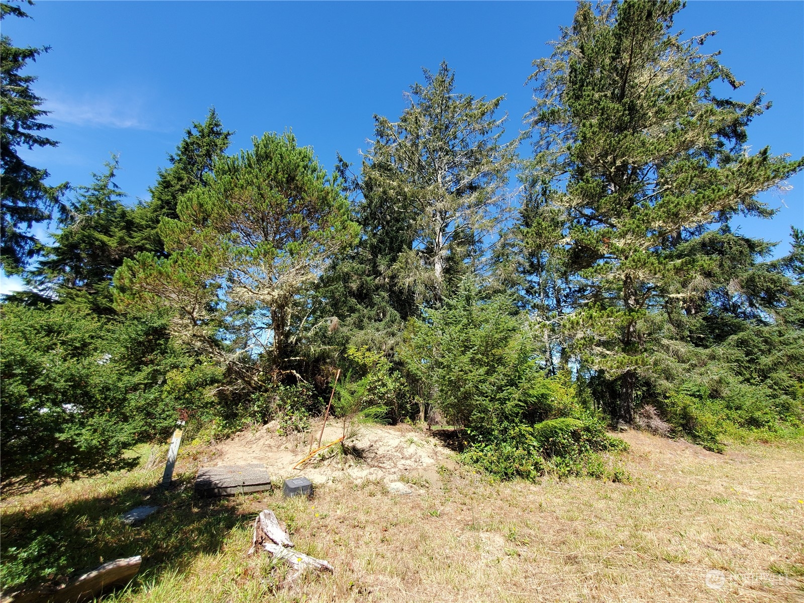 32425 Douglas Drive Property Photo 2