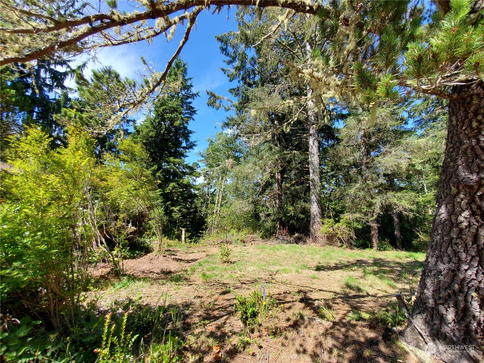 32425 Douglas Drive Property Photo 4