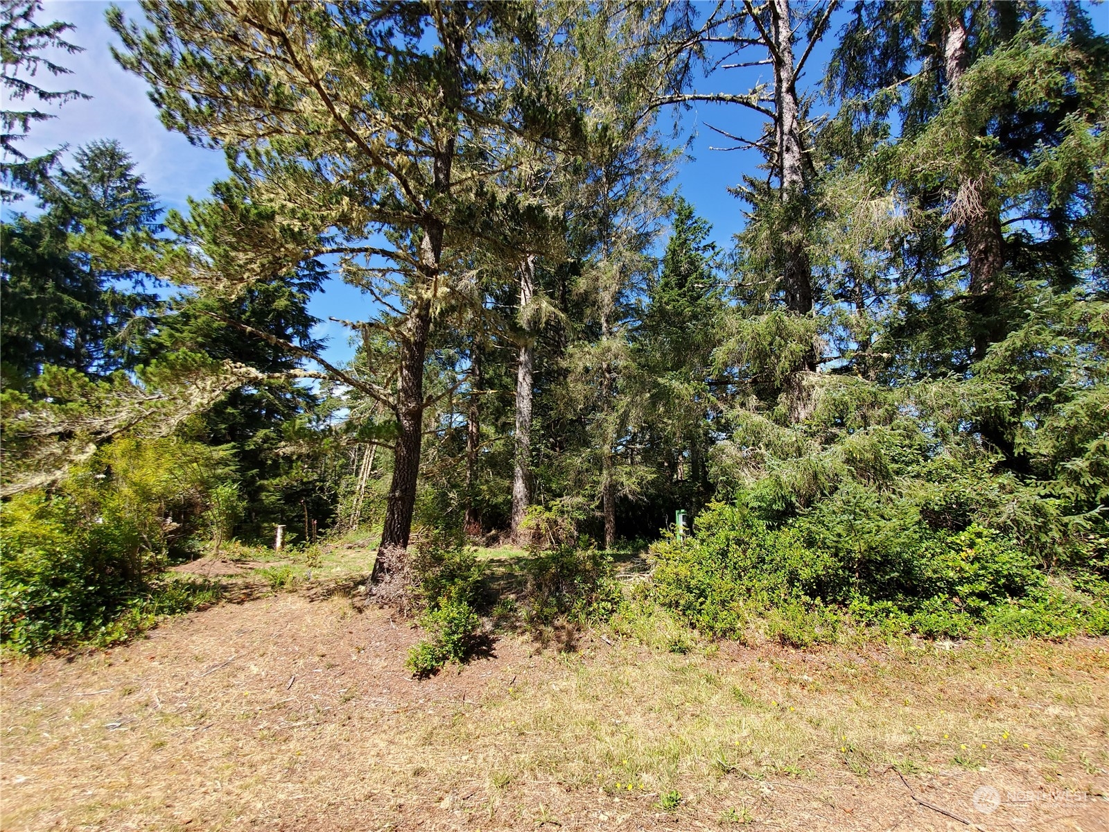 32425 Douglas Drive Property Photo 5