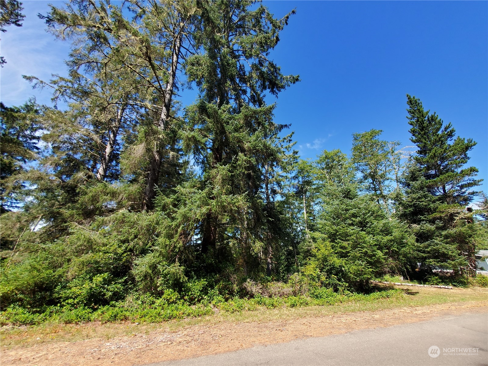 32425 Douglas Drive Property Photo 6