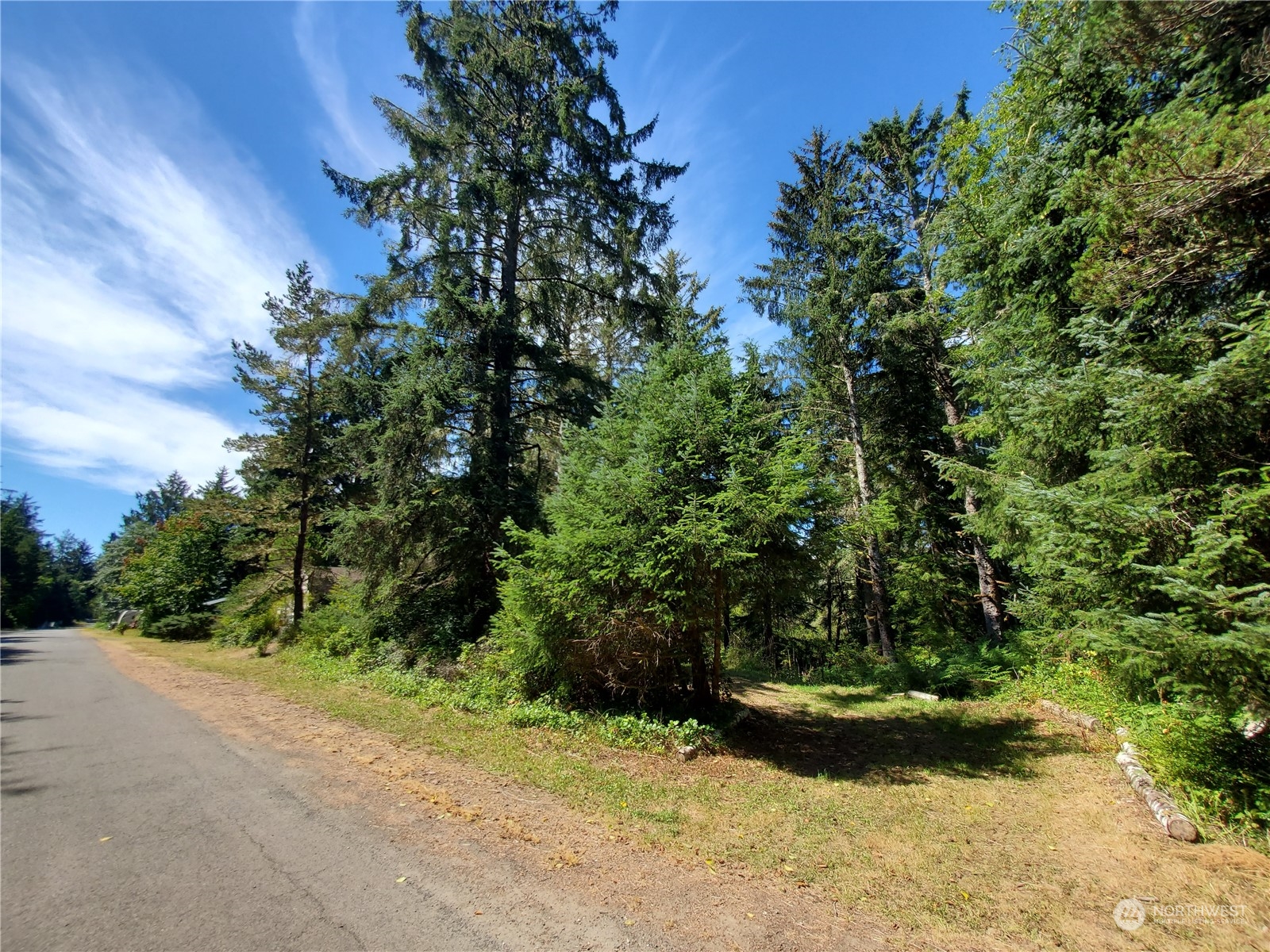 32425 Douglas Drive Property Photo 7
