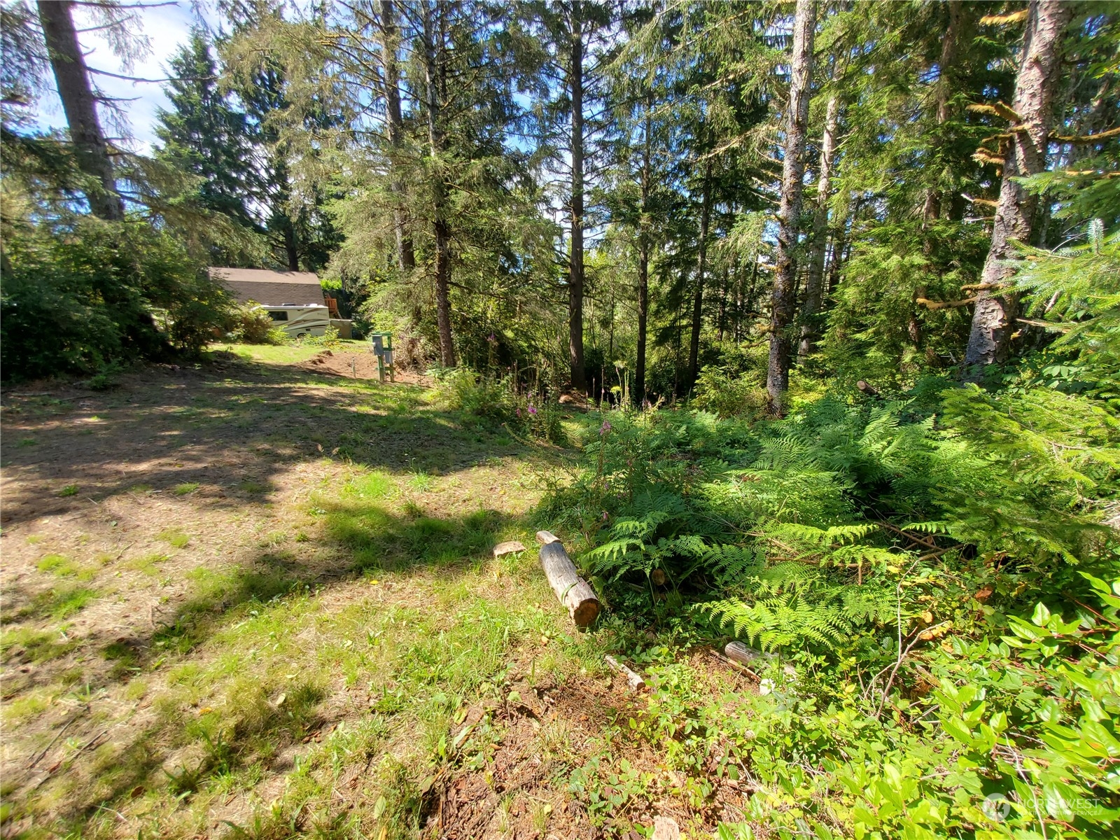 32425 Douglas Drive Property Photo 9