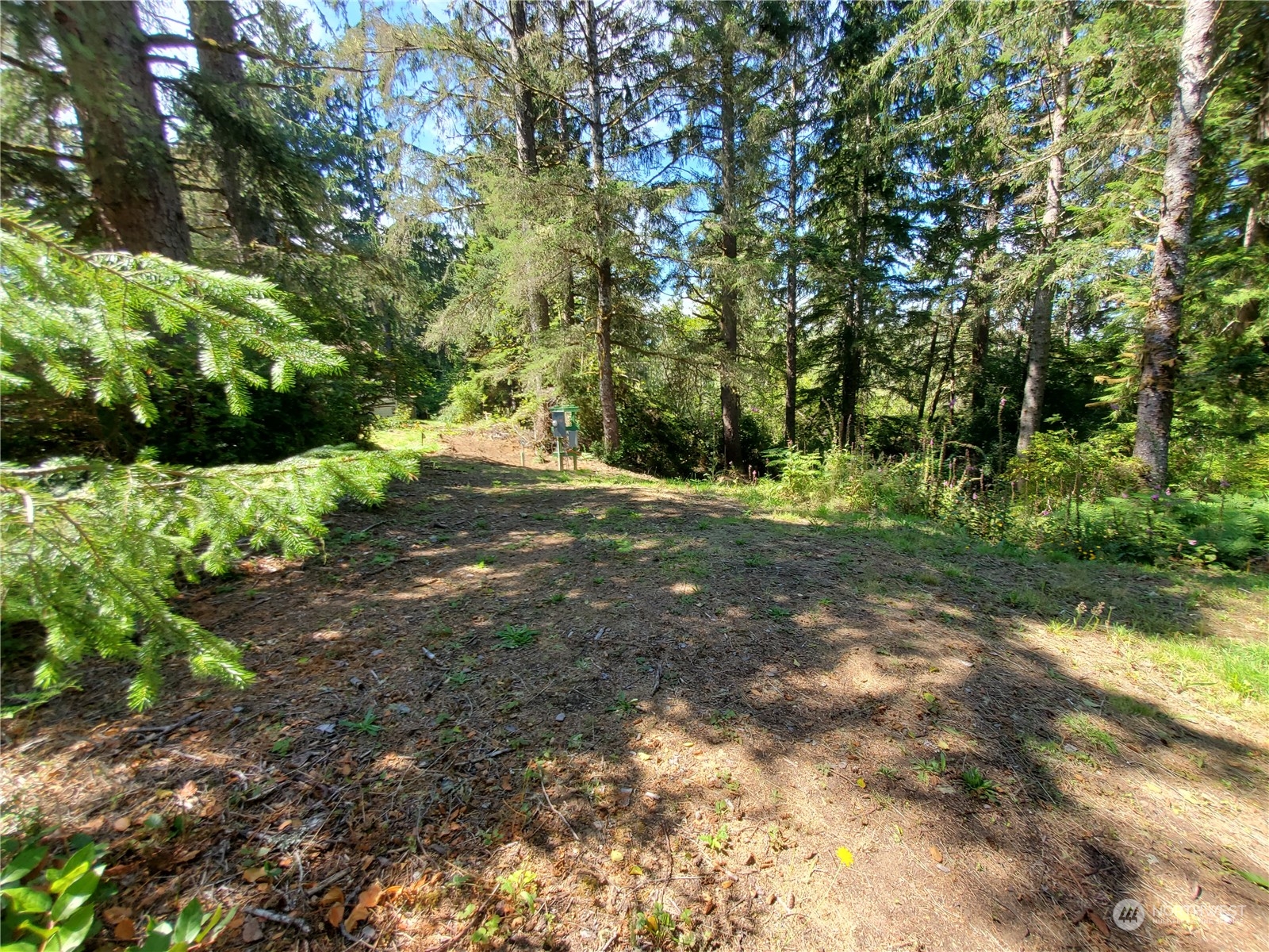 32425 Douglas Drive Property Photo 10