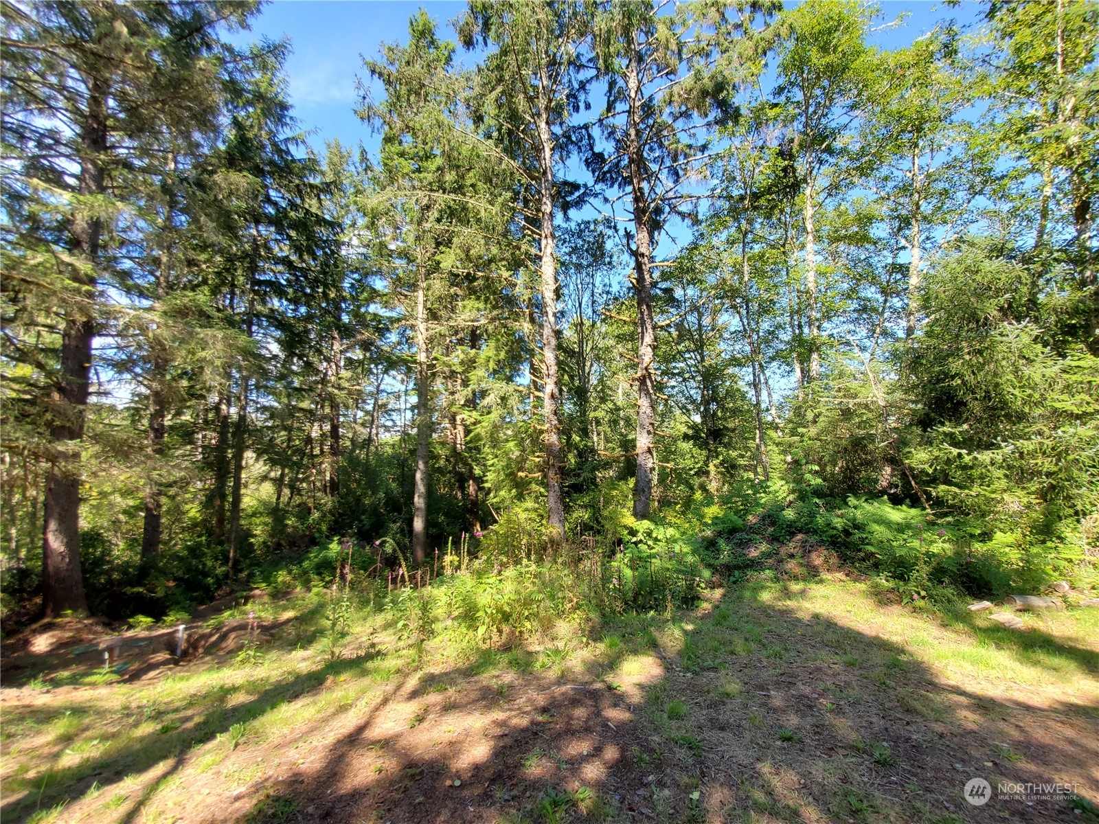 32425 Douglas Drive Property Photo 11