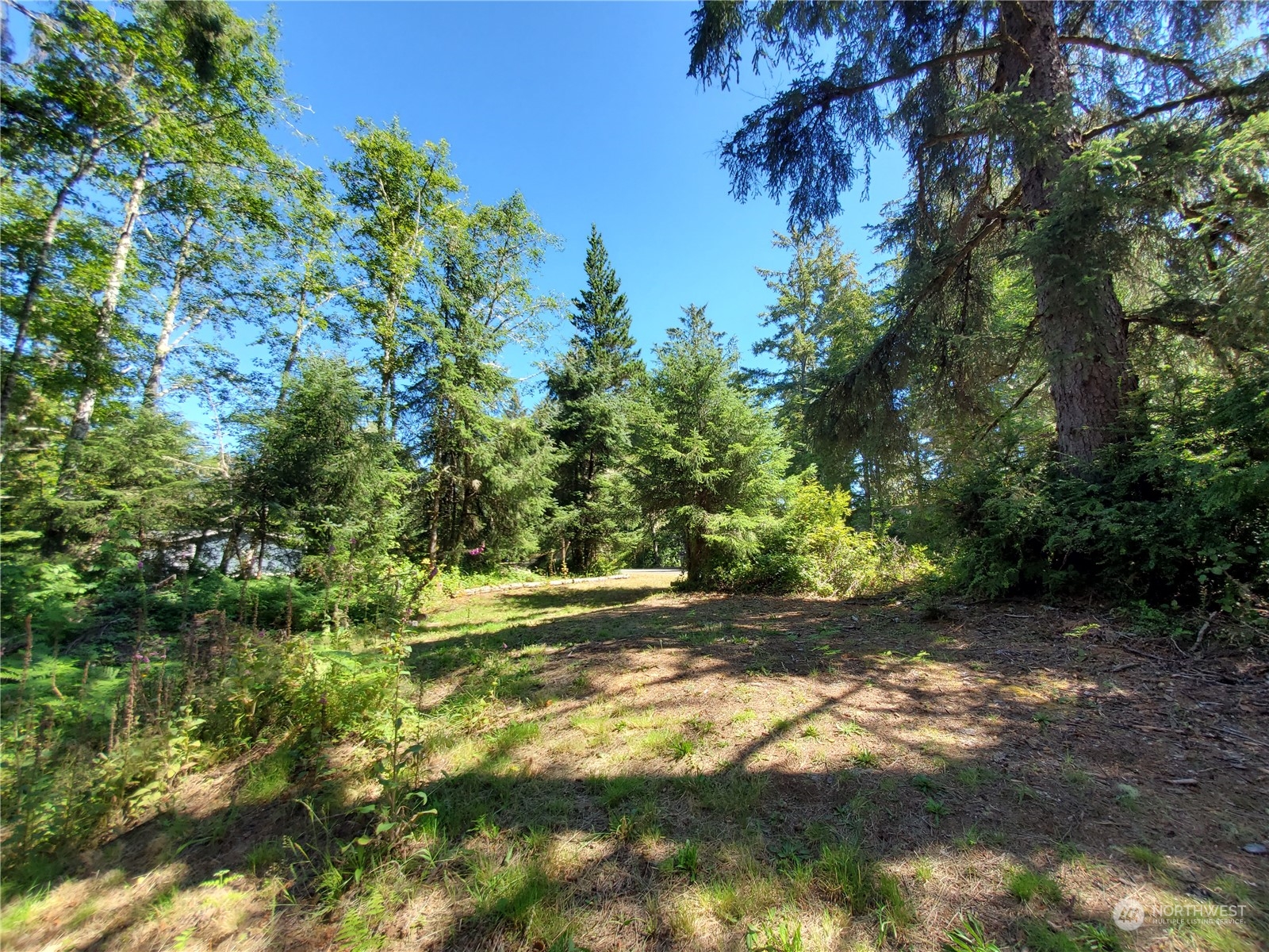 32425 Douglas Drive Property Photo 13