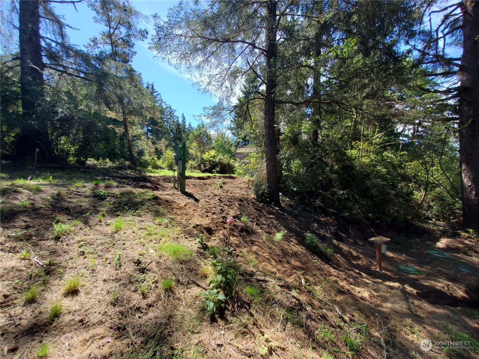 32425 Douglas Drive Property Photo 14