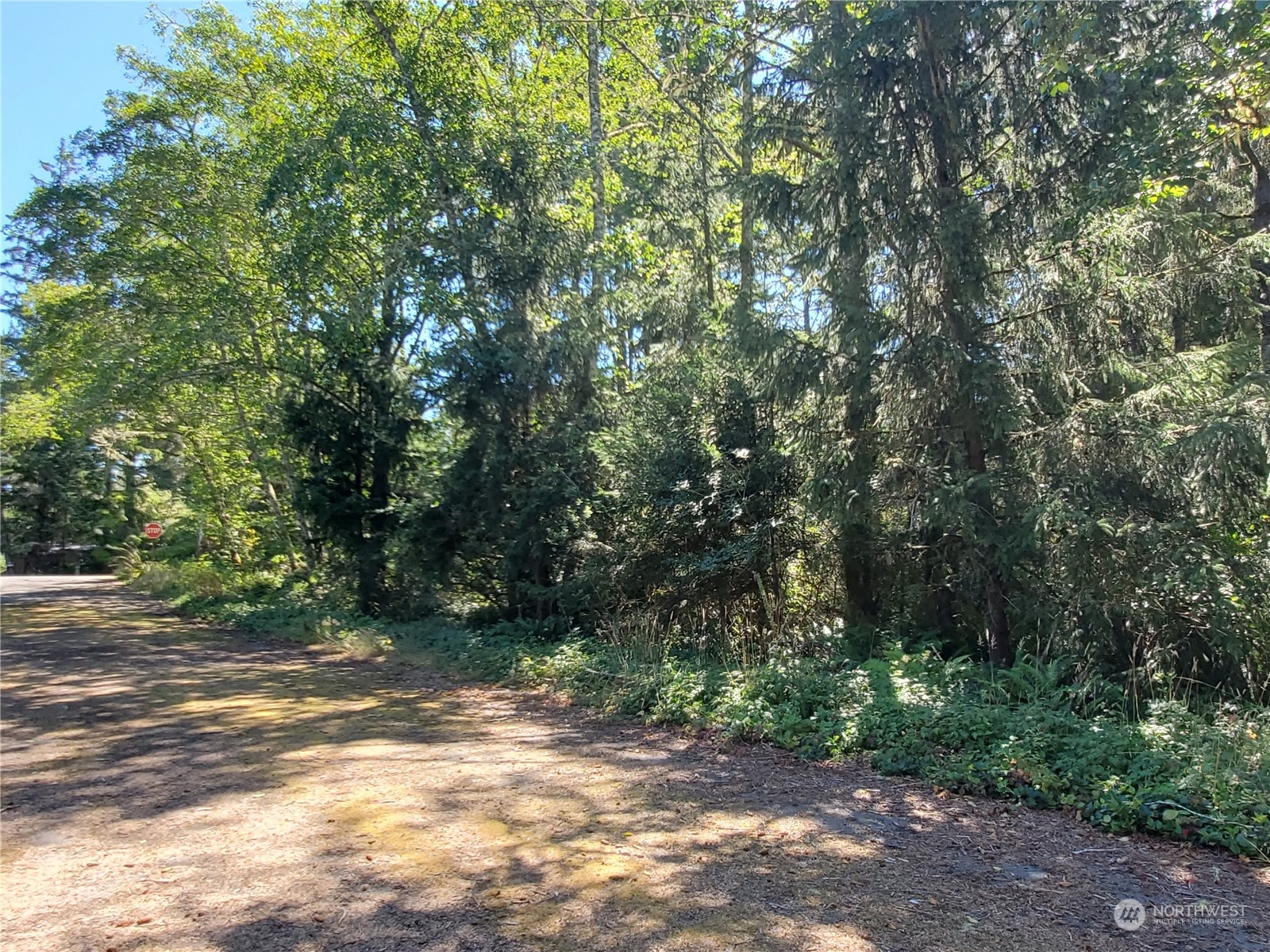 32425 Douglas Drive Property Photo 19