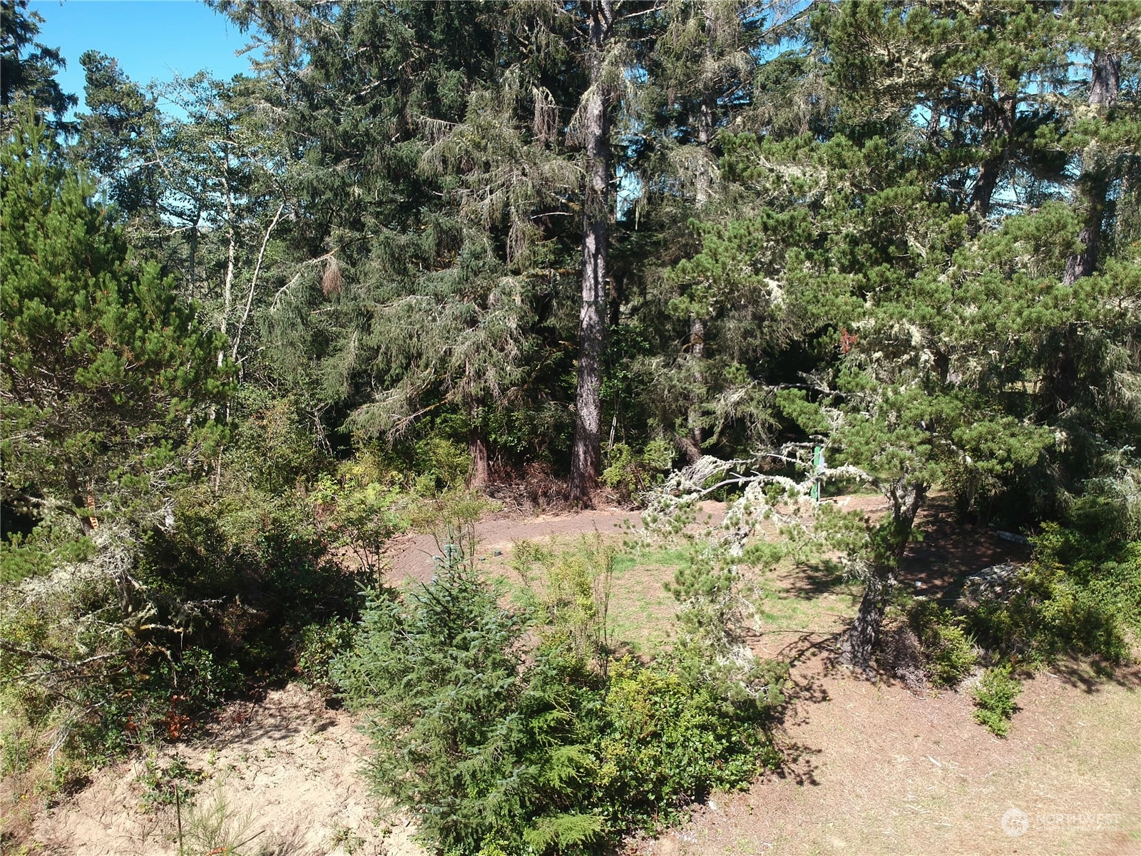 32425 Douglas Drive Property Photo 20