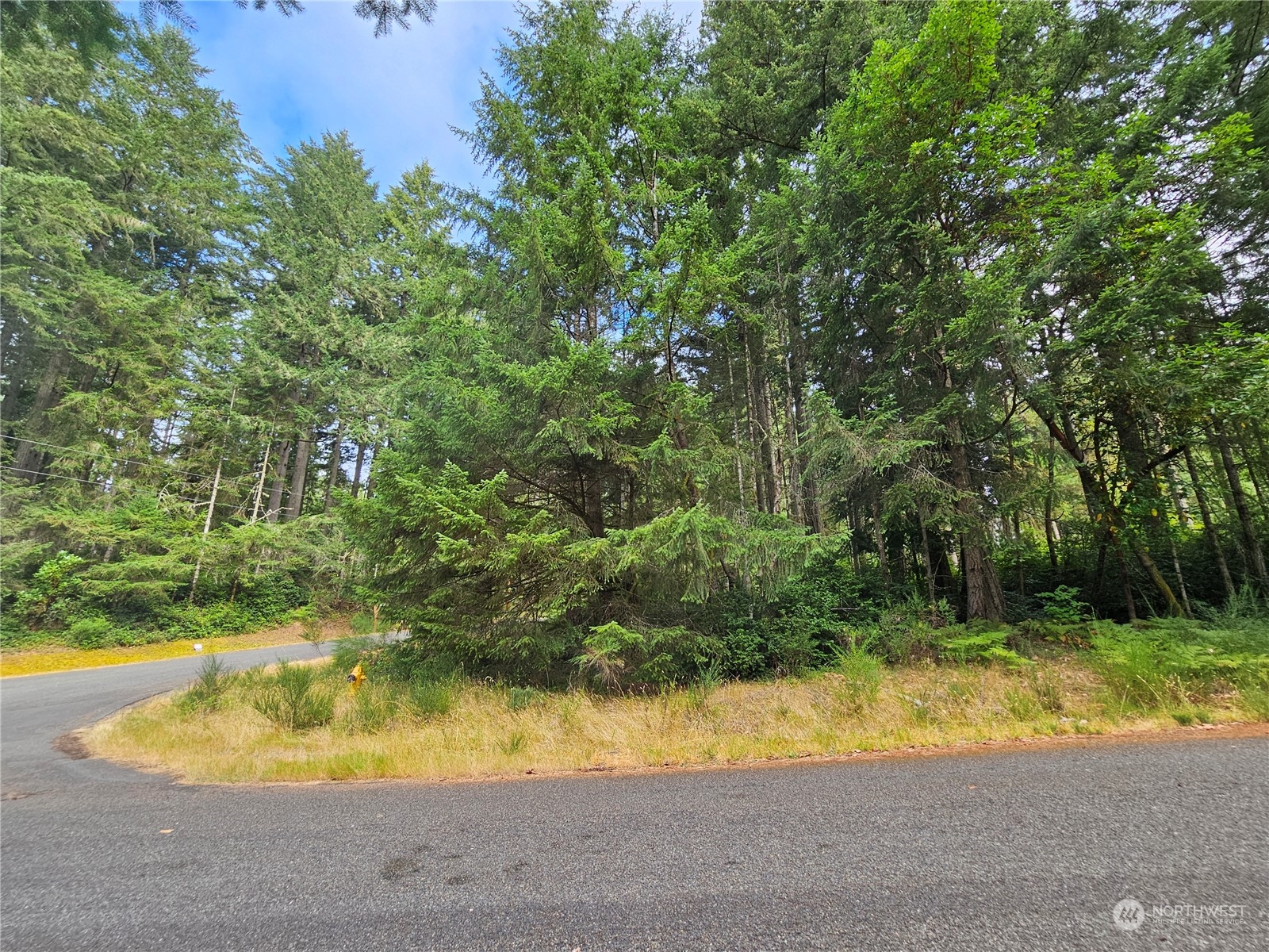 9325 123rd Avenue Property Photo 1