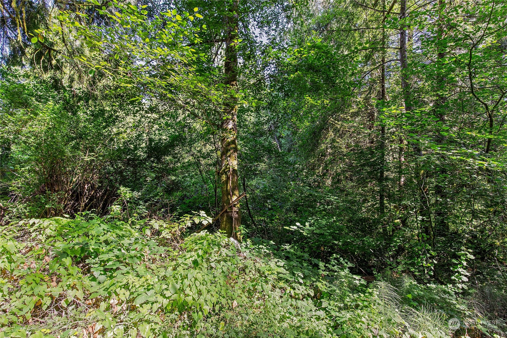 0 174th Avenue Property Photo 2