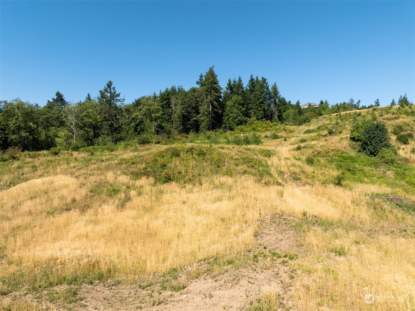 0 Green Mountain Road Property Photo 6