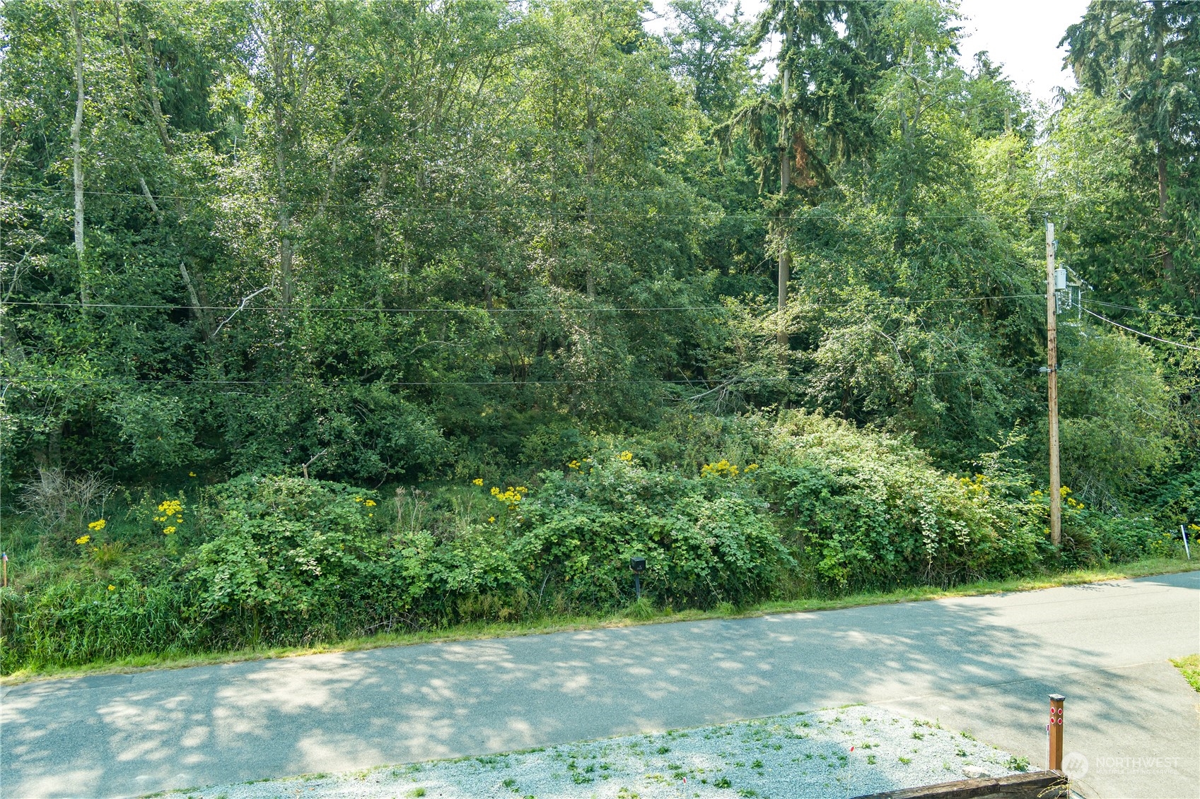 1 Xxx Honeymoon - Lake Drive Property Photo 4