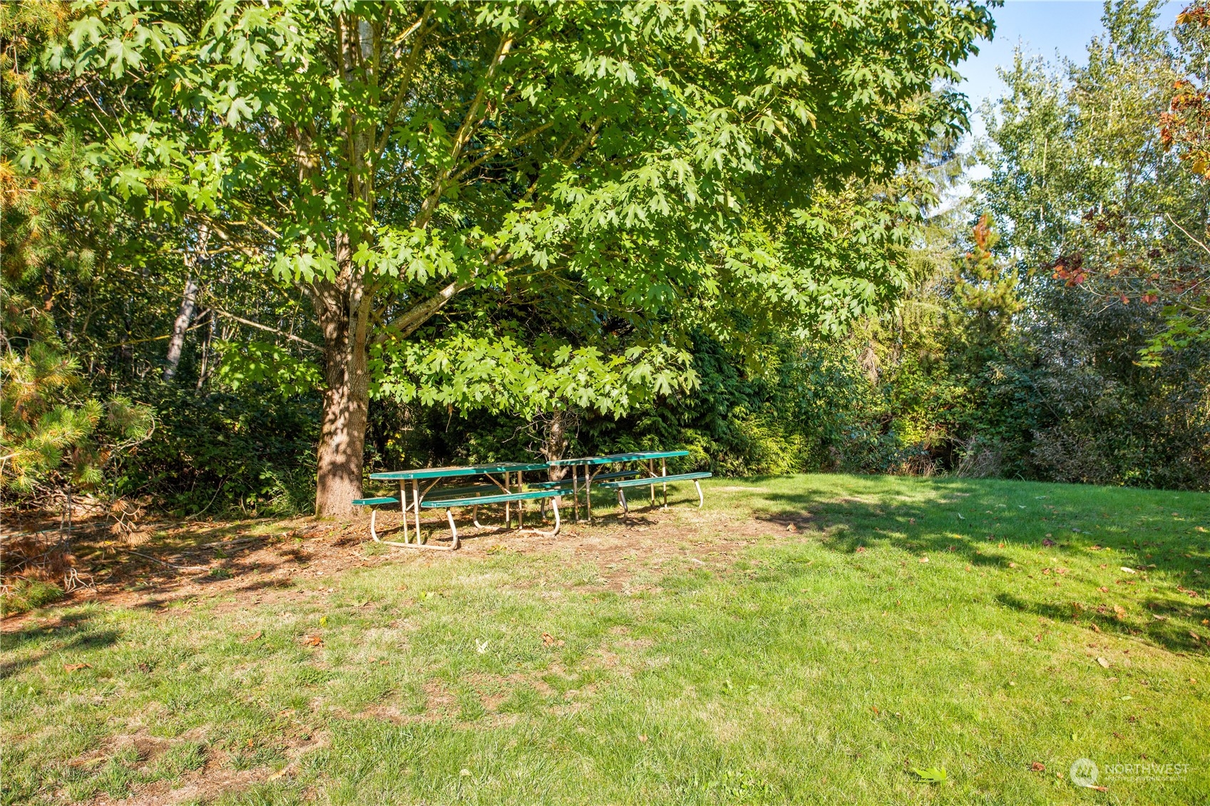 6515 Aldrich Road Property Photo 25