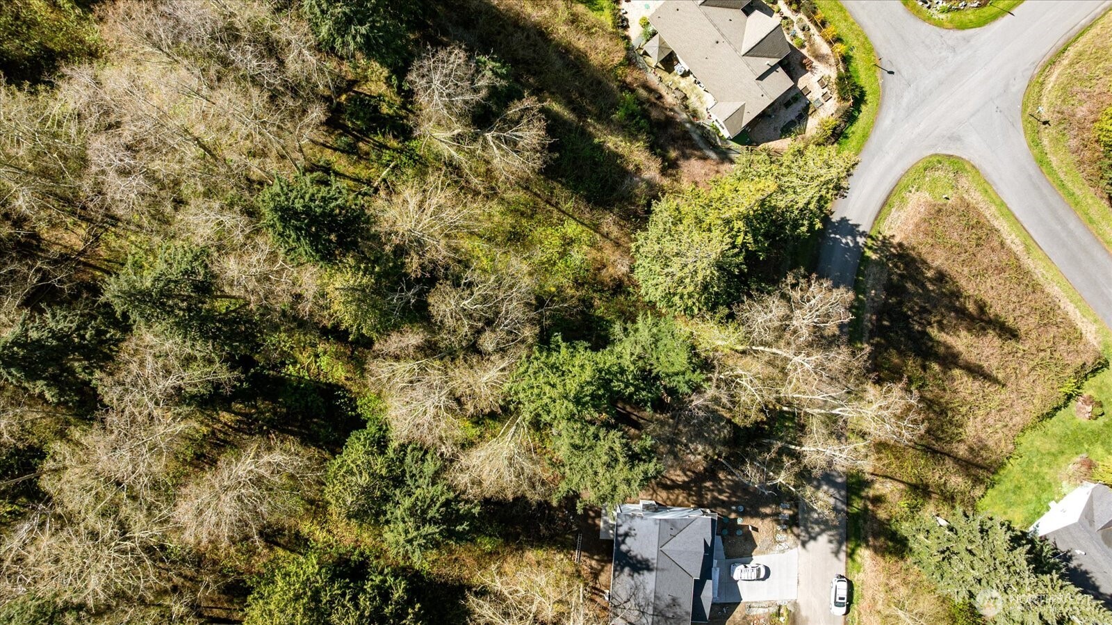 1774 Twin Oaks Lane Property Photo 3
