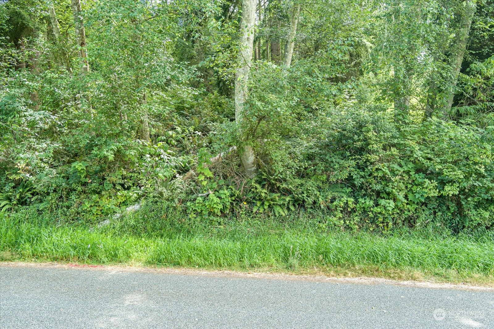 1774 Twin Oaks Lane Property Photo 4