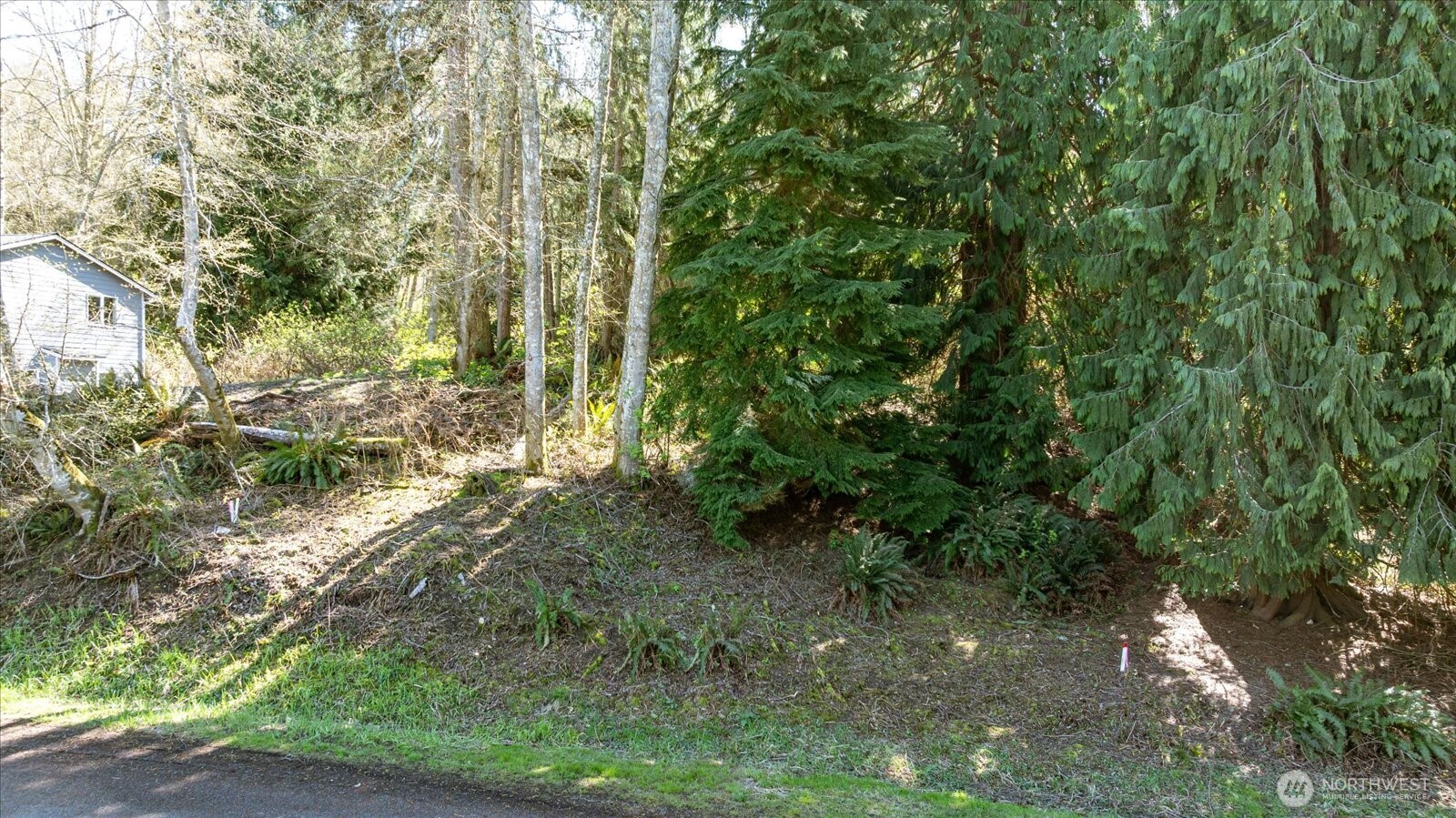 1774 Twin Oaks Lane Property Photo 4