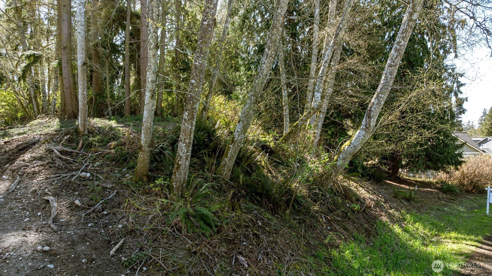 1774 Twin Oaks Lane Property Photo 8
