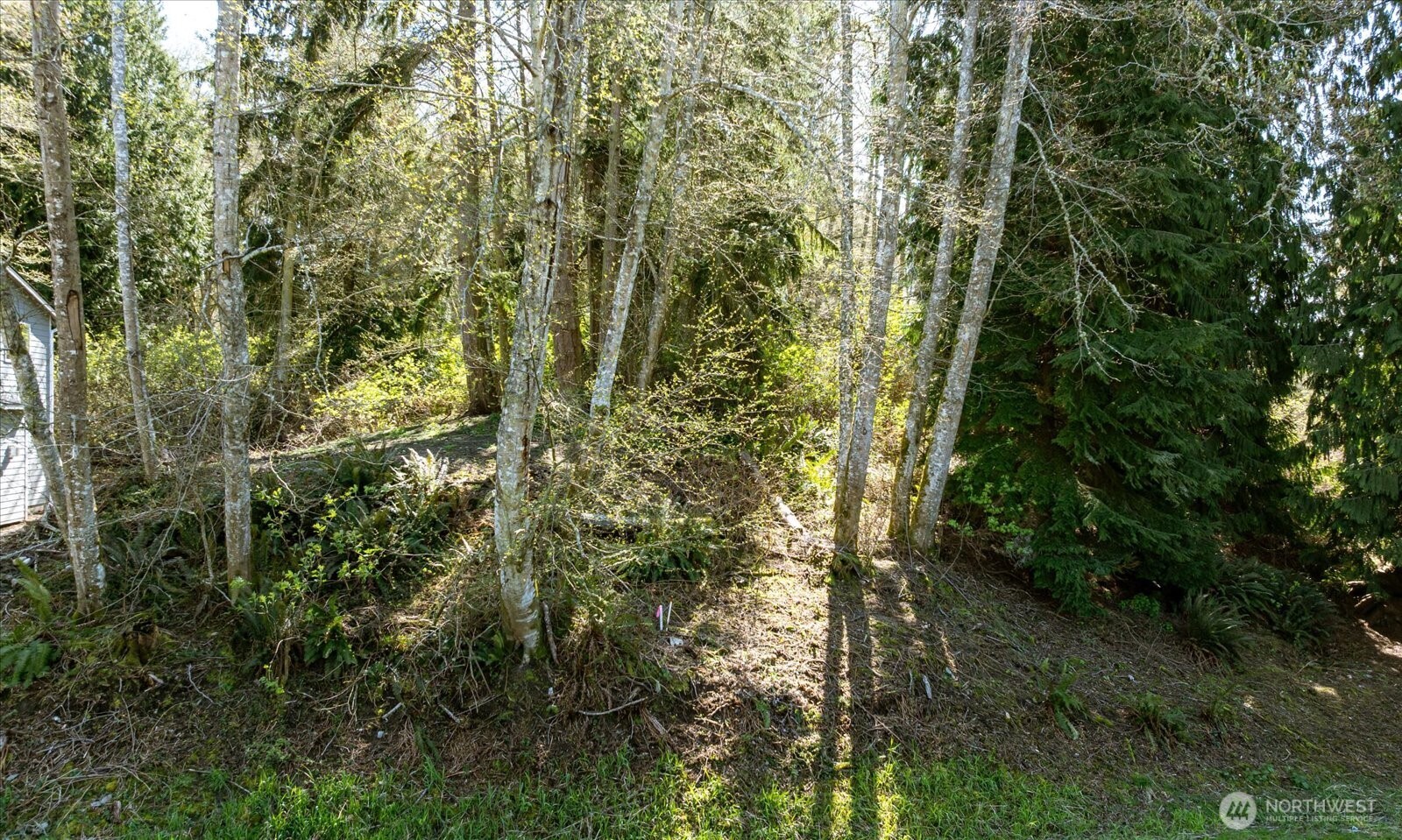 1774 Twin Oaks Lane Property Photo 10