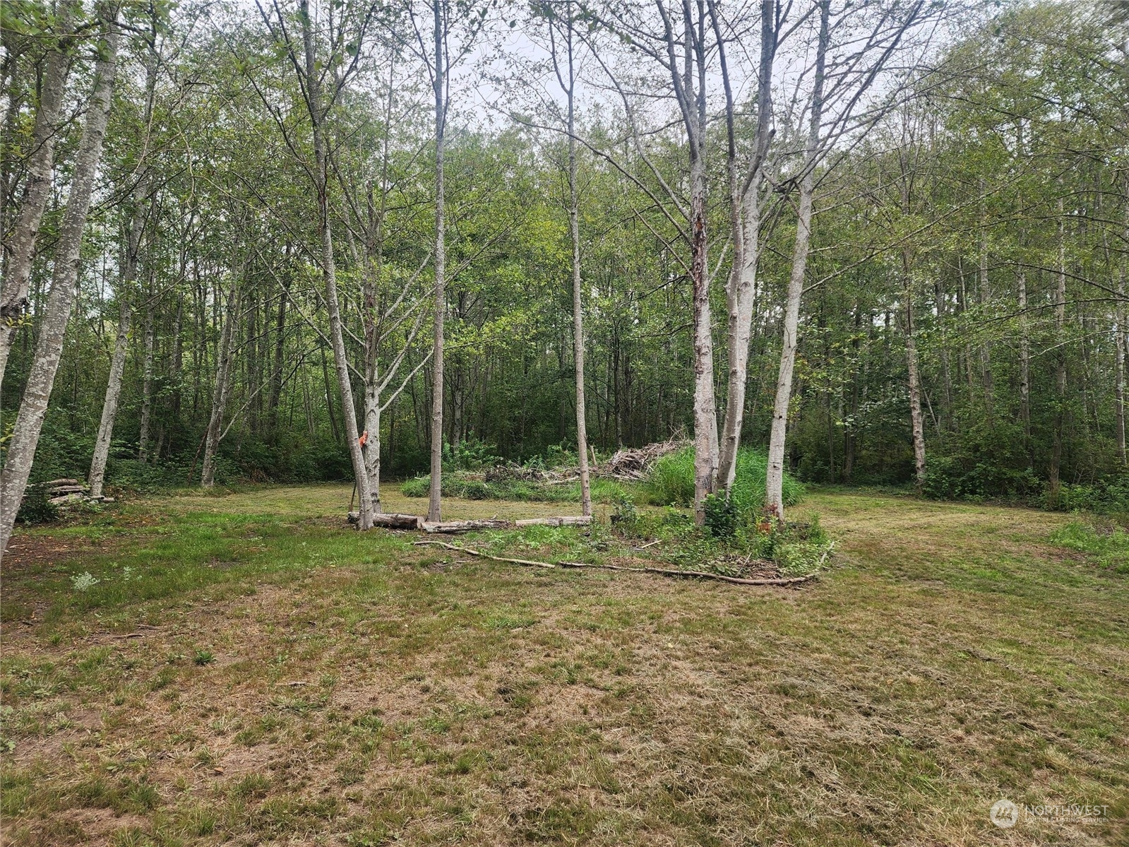 3578 Slater Road Property Photo 17